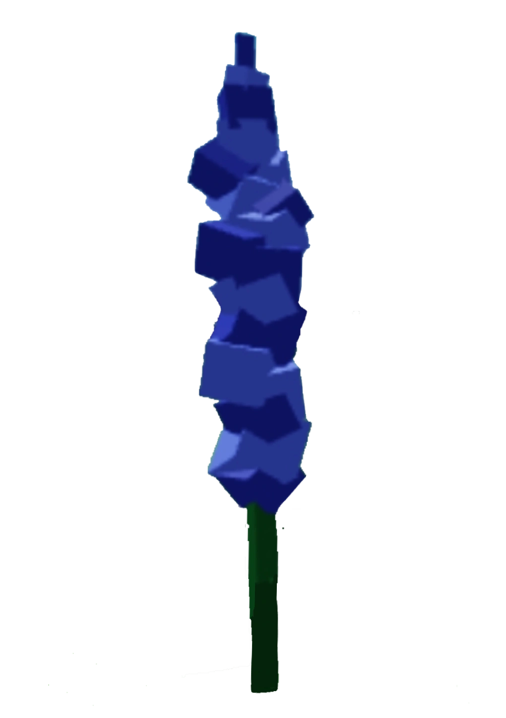 Delphinium