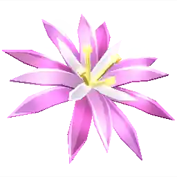Paradise Petal