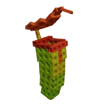 Pitcher Plant